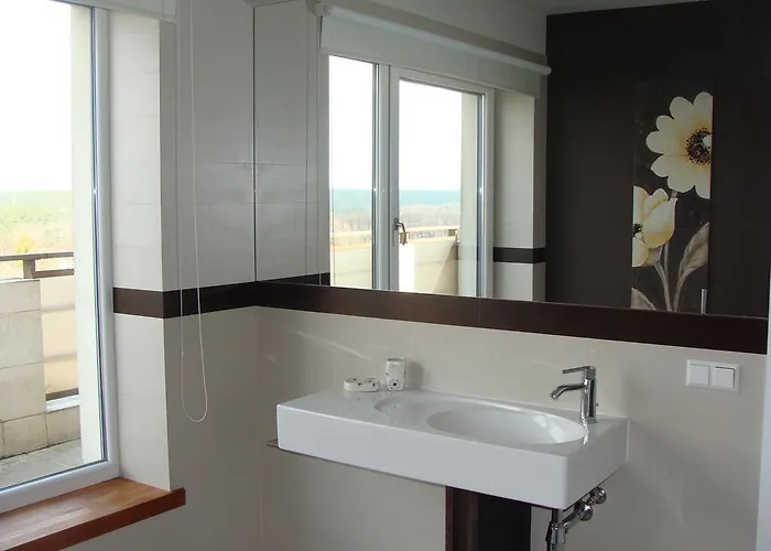 Panorama Daire Druskininkai